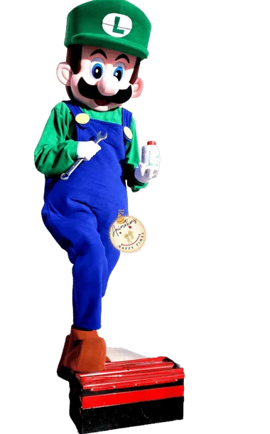 Mascotte Luigi pour anniversaire en Normandie