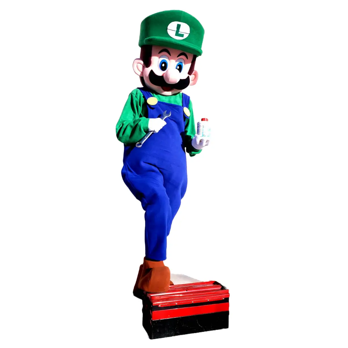 Mascotte Luigi sur fond blanc, costume adulte grandeur nature pour animation et location en Normandie