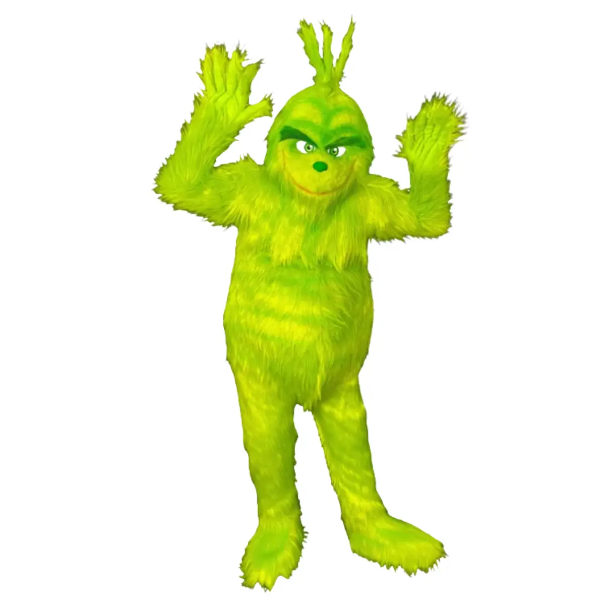 Mascotte Grinch adulte en Normandie Mascotte Grinch adulte à tête intégrale, location du déguisement et animation en Normandie - Animations Happy Times